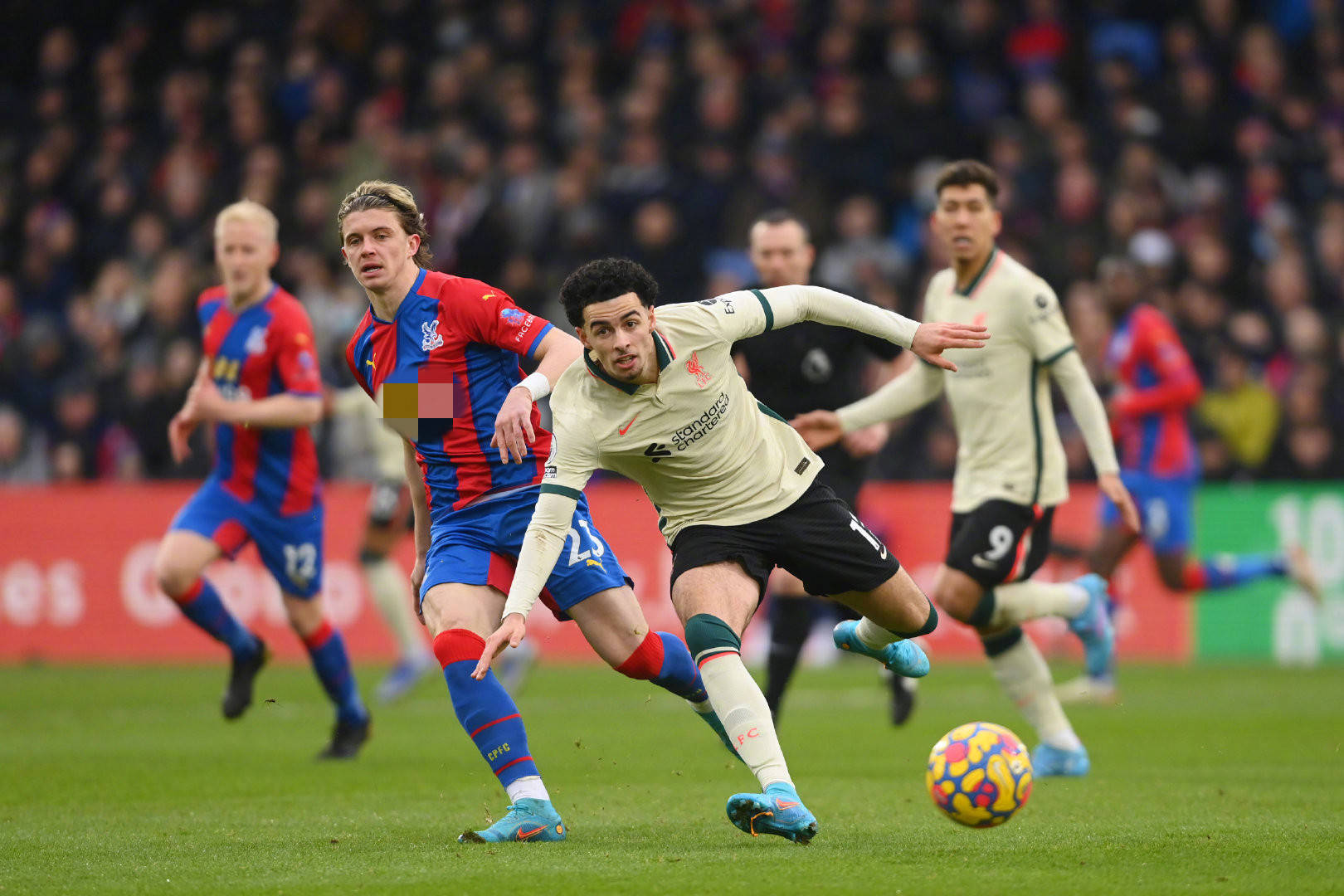 他们可能把 他们可能把